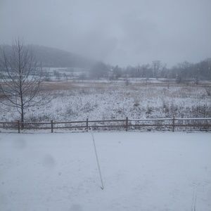 Meet your Posher, Steven